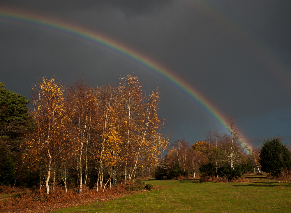Autumn Autumn Rainbow,  Godshill